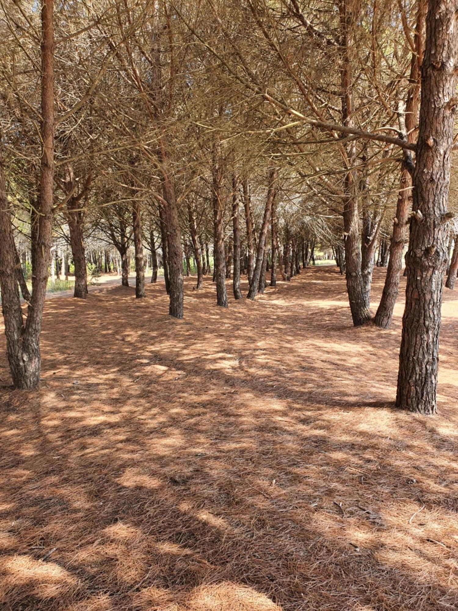 Amber Hotel Albania 스필 외부 사진